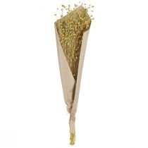 Artikel Dekorative hørfrø tørrede blomster olivengrønne 50g