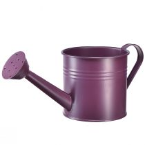 Artikel Dekorativ vandkande lilla metal plantekasse Ø13,5cm H12,5cm