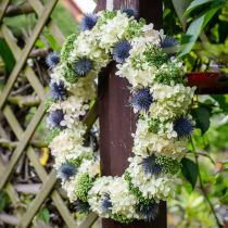 Artikel Dekorativ hortensia kunstig hvid sneboldhortensia 65cm