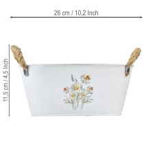 Artikel Dekorativ oval metalskål, hvid, naturlig blomsterdekoration, L26 cm