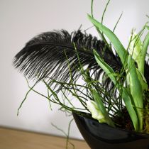 Artikel Dekorative strudsefjer sorte fjer 38-40cm 2 stk