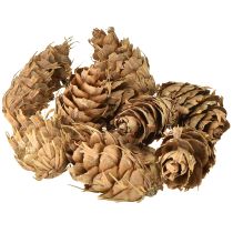 Artikel Douglas kegler 1,3 kg