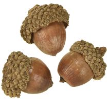 Artikel Agern til dekoration, efterårsdekoration, naturlige efterårsfrugter Ø1,5 – 2,5 cm L1,5 – 3 cm 300 g