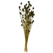 Artikel Tørret jordbær-tidseldekoration, olivengrøn, Ø1-2 cm, L55 cm, 100 g