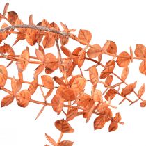 Artikel Kunstig Eucalyptus Hanger Autumn Eucalyptus Orange 150cm