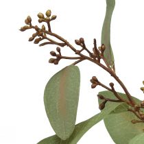 Artikel Eucalyptus gren kunstig dekorativ gren grøn kunstig gren 60cm