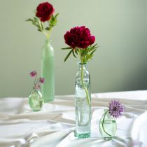 Artikel Flaske dekoration vase glas klar/grøn retro Ø6,5cm H30cm