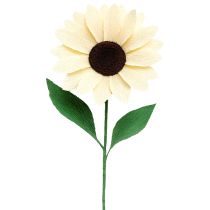 Artikel Blomsterhandler crepepapir champagne 50x250cm