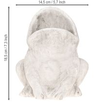 Artikel Frø dekorativ plantepotte urtepotte betongrå H18,5cm