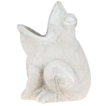 Artikel Frø dekorativ plantepotte urtepotte betongrå H18,5cm