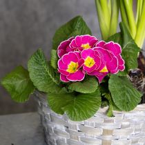 Artikel Flettet kurv som stilfuld blomsterdekoration i opholdsstuen. Påskekurv, 23 cm, 6 stk.