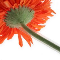 Artikel Gerbera støtteslange 200m