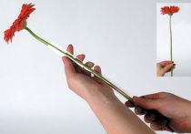 Artikel Gerbera støtteslange 200m