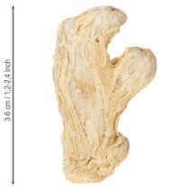 Artikel Tørret ingefærdekoration Naturlig dekoration 500g