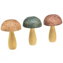 Artikel Træsvampe dekorative svampe efterårsdekoration træ assorteret 11×7,5cm 3 stk.