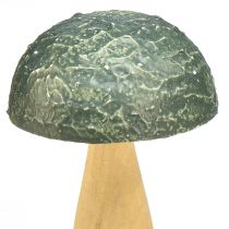 Artikel Træsvampe dekorative svampe efterårsdekoration træ assorteret 11×7,5cm 3 stk.