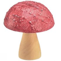 Artikel Træsvampe dekorative svampe borddekoration efterårsrød natur 5×6cm 9stk
