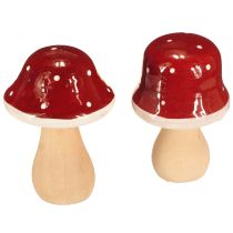 Artikel Træsvampe, paddehatte, dekoration, træ, FSC, rødbrun, H6,5/7 cm, 4 stk.