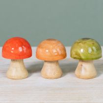 Artikel Træsvampe, efterårsdekoration, svampe, grøn, rød, orange, H6,5 cm, 9 stk.