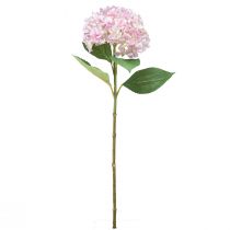 Artikel Hortensia kunstig lys pink kunstig blomsterhaveblomst 65cm