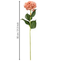 Artikel Hortensia Pink 80cm 1 stk