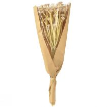 Artikel Italienske stråblomst kunstige blomster Pink L28cm