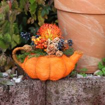 Artikel Kande til græskarplantning, orange/gulgrøn, Ø13 cm