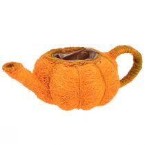 Artikel Potte til plantning af græskar dekoration orange/gul grøn Ø13cm