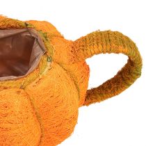 Artikel Potte til plantning af græskar dekoration orange/gul grøn Ø13cm