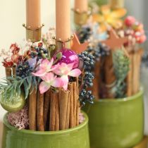 Artikel Lysestage krone gylden, pindlysholder metal 4 stk.