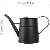 Artikel Stilfuld lille dekorativ vandkande, sort metal, 30x13x17cm, 1,7l, plantekasse, dekoration til lejlighed/altan