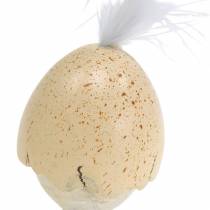 Artikel Kylling i æggeskallen hvid, fløde 6cm 6stk