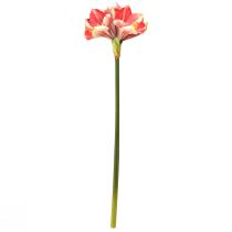 Artikel Kunstig Amaryllis Pink og Creme – Stor Stængel Blomst 76cm