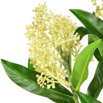 Artikel Kunstige blomster creme Skimmia japonica Skimmie 45cm 2stk