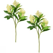 Artikel Kunstige blomster creme Skimmia japonica Skimmie 45cm 2stk