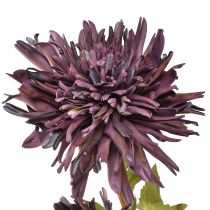 Artikel Kunstig krysantemum 2 blomster lilla Ø5/11cm L70cm