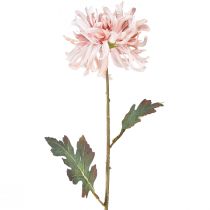 Artikel Kunstige krysantemum Pink Mauve Ø13cm L72cm 2stk