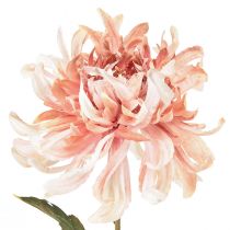 Artikel Kunstige krysantemum Pink Mauve Ø13cm L72cm 2stk
