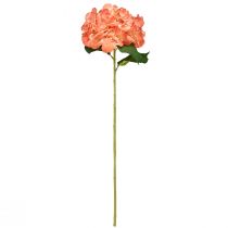 Artikel Kunstig hortensia Gigant dekorativ blomsterlaks Ø23cm L84cm