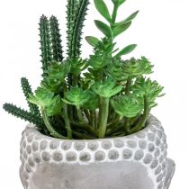 Kunstig sukkulent urtepotte Buddha Ø12cm H24cm