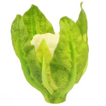 Artikel Kunstig blomkål grøntsagsdekoration hvid grøn Ø9cm H15cm