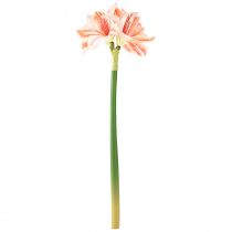 Artikel Kunstige Ridderstjerne Kunstige Blomster Hvid Rød Orange Amaryllis 40cm 3 stk.