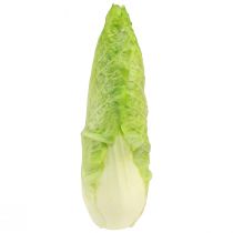 Artikel Kunstig spidskål maddummy Ø5cm H18cm