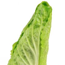 Artikel Kunstig spidskål maddummy Ø5cm H18cm
