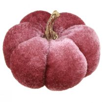 Artikel Græskar lavet af stof dekoration fløjl bordeaux pink Ø7cm 9 stk