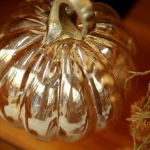 Artikel Græskardekoration i glas glas græskar borddekoration orange Ø14cm H18cm