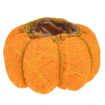 Artikel Græskarplantepotte orange/gul-grøn af sisal Ø15cm H9cm