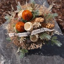 Artikel Kunstige blomster, Banksia, Proteaceae Orange L58cm H6cm 3 stk