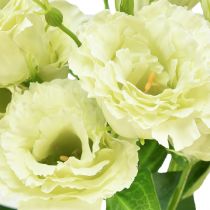 Artikel Kunstige blomster Eustoma Lisianthus gulgrøn 52cm 5 stk