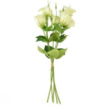 Artikel Kunstige blomster Eustoma Lisianthus gulgrøn 52cm 5 stk